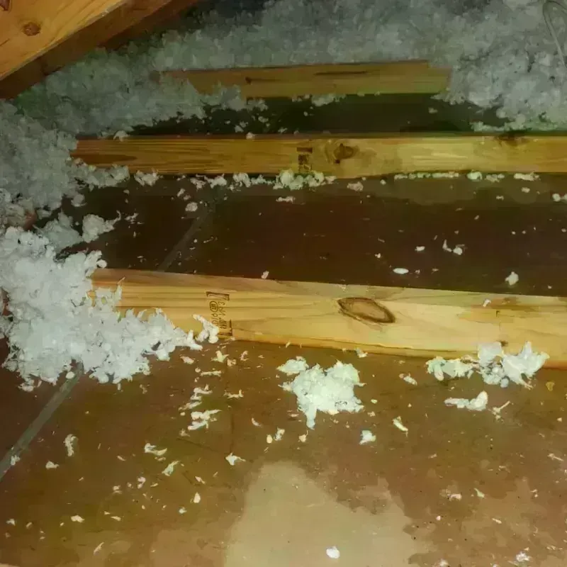 Attic Water Damage in Lakeview, CA